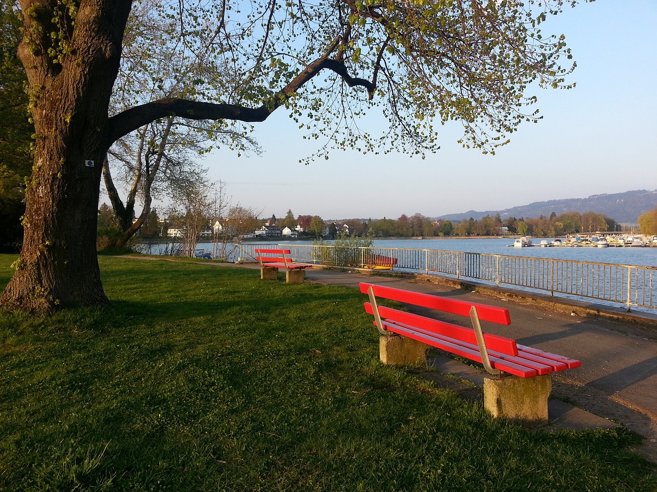 他曾效力於 他曾效力於